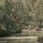 Jordan River in Israel where many believers go to be rebaptized.