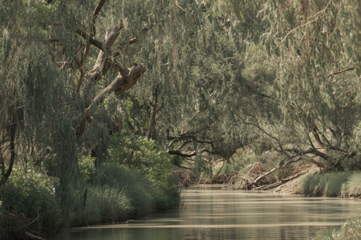 Jordan River in Israel where many believers go to be rebaptized.