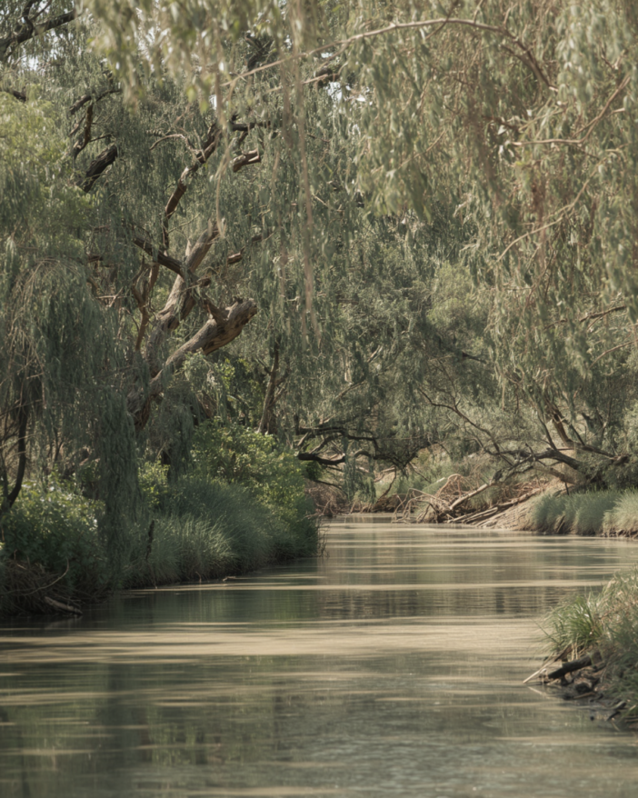 Jordan River in Israel where many believers go to be rebaptized.